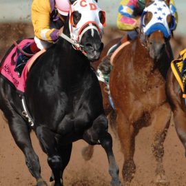 horse racing in ruidoso new mexico