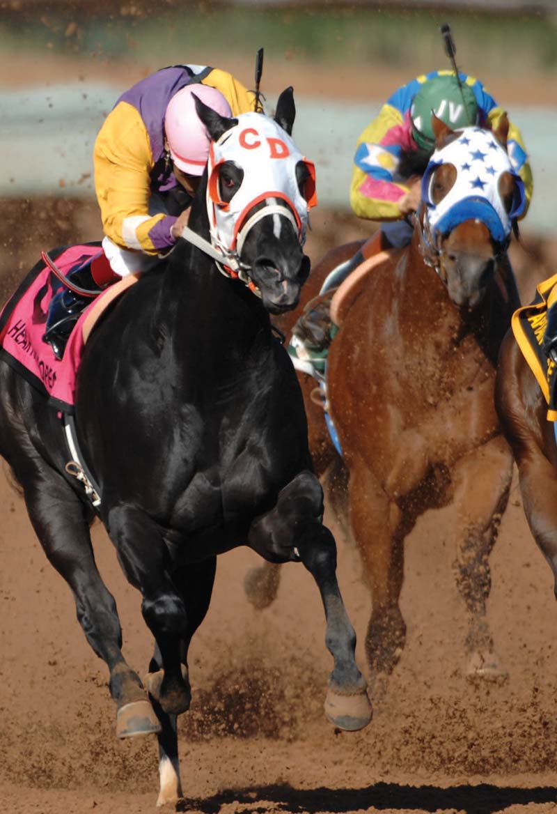 horse racing in ruidoso new mexico