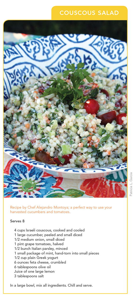 couscous salad recipe