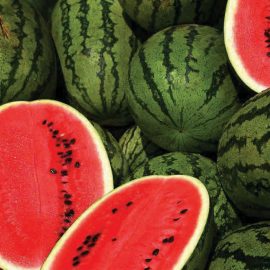 watermelon