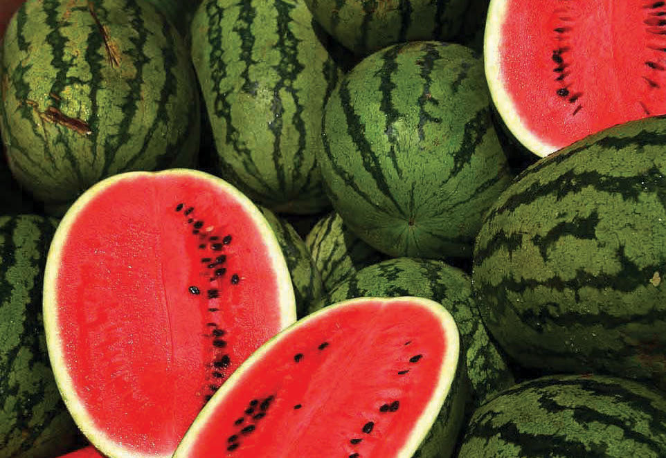watermelon