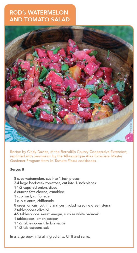 watermelon tomato salad recipe