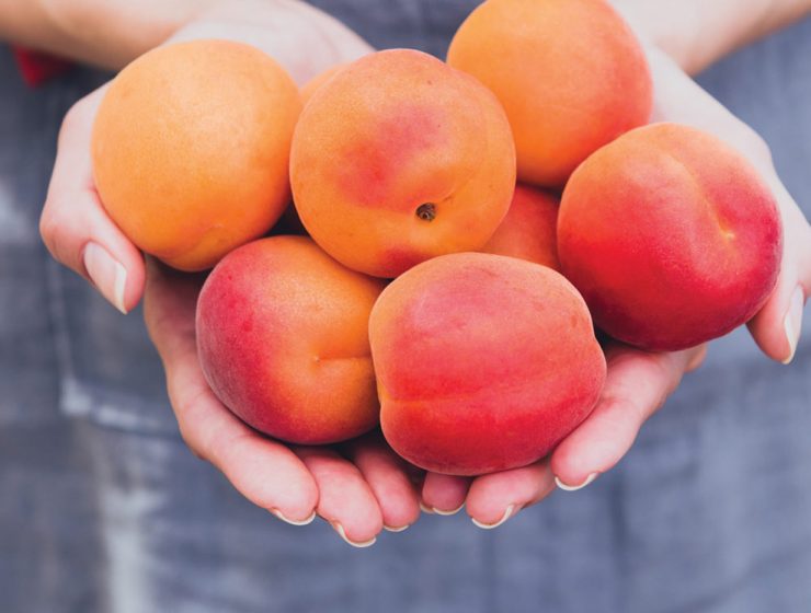 peaches
