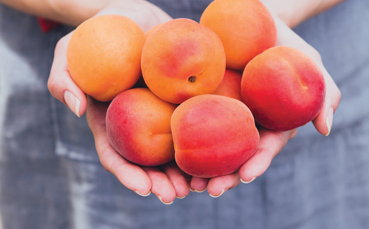 peaches
