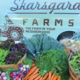 skarsgard farms