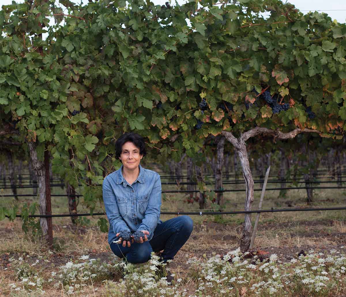 caquerel family wine estates