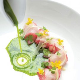 santacafe dish