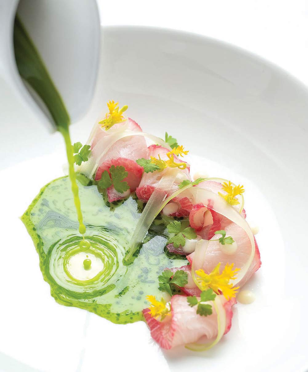 santacafe dish