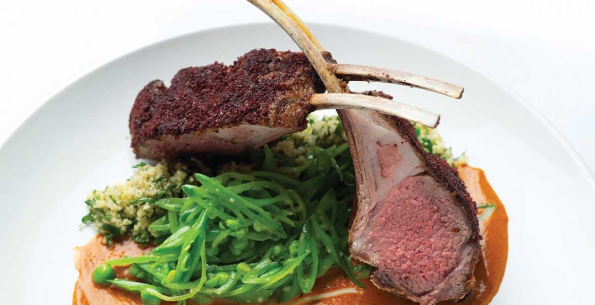 santacafe lamb