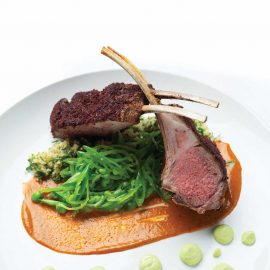 santacafe lamb