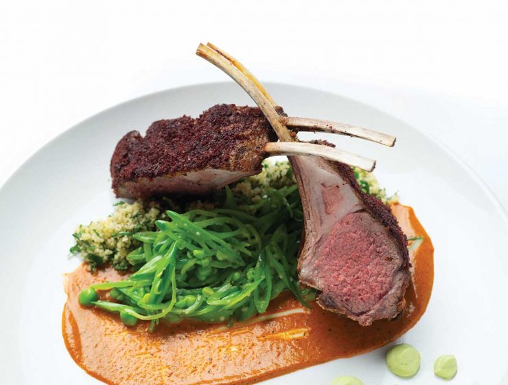 santacafe lamb