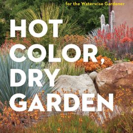 hot color dry garden cover