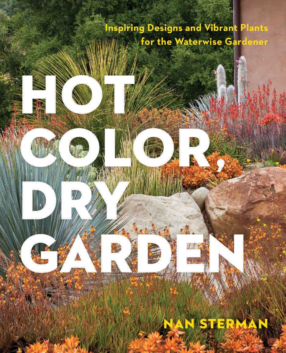 hot color dry garden cover