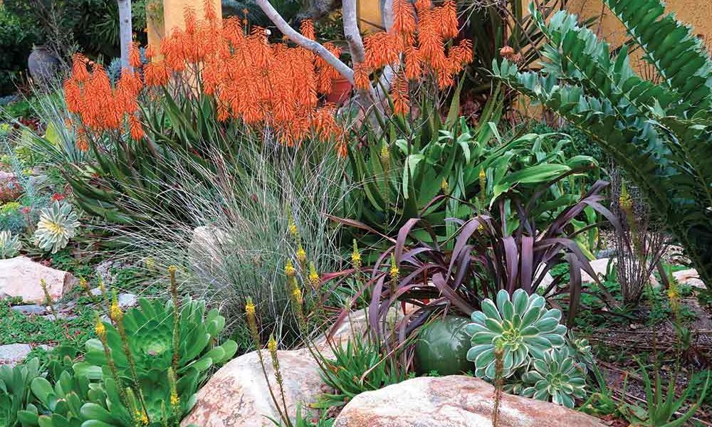 waterwise landscaping