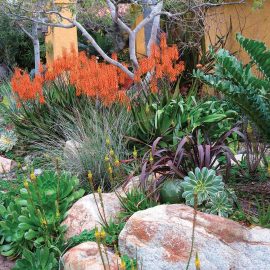 waterwise landscaping