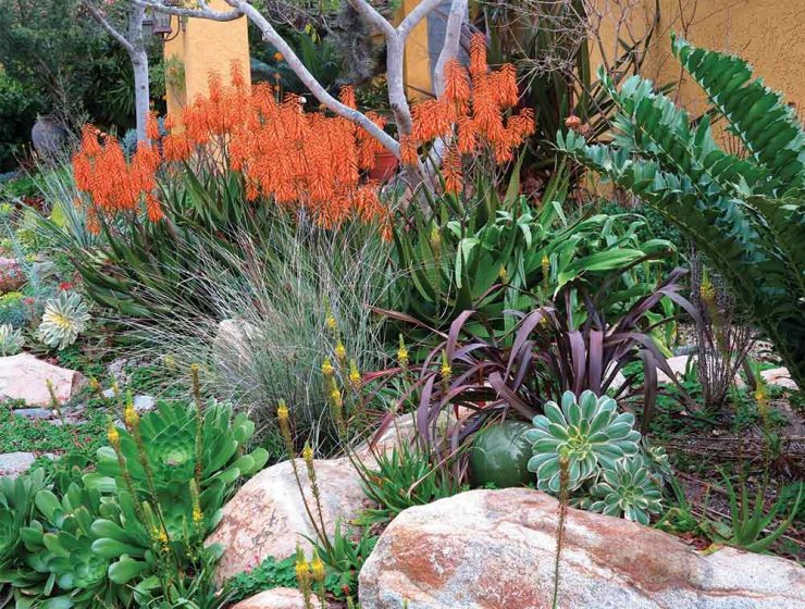 waterwise landscaping
