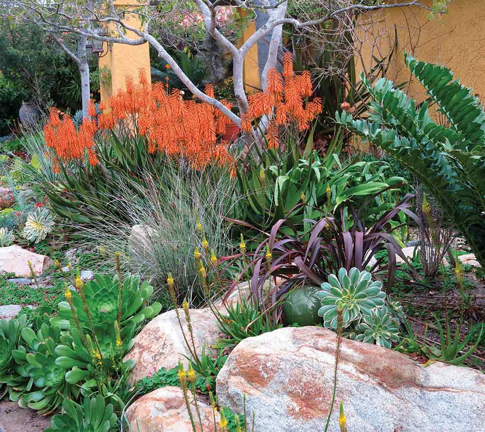 waterwise landscaping