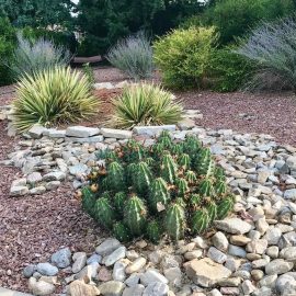 rock beds