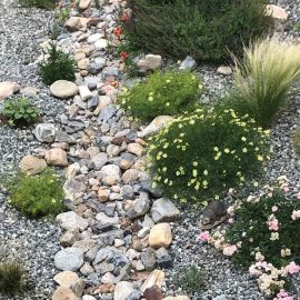 rock beds
