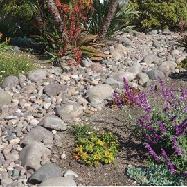 rock beds