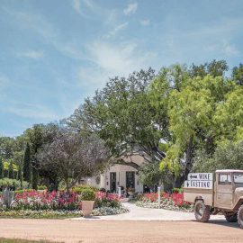 Charming Signor Vineyards