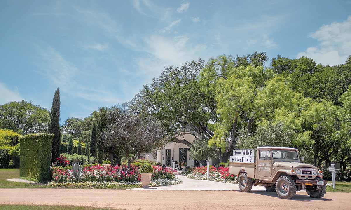 Charming Signor Vineyards