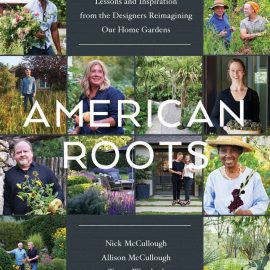 American Roots cover