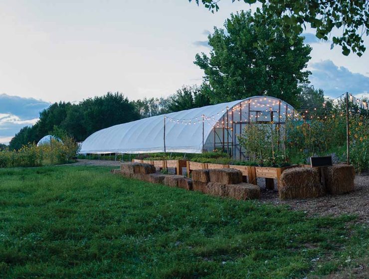 farm and table greenhouse