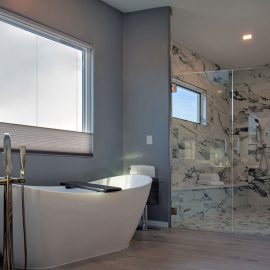aging in place bathroom