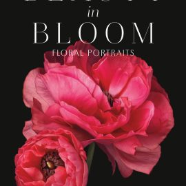 beauty in bloom cover