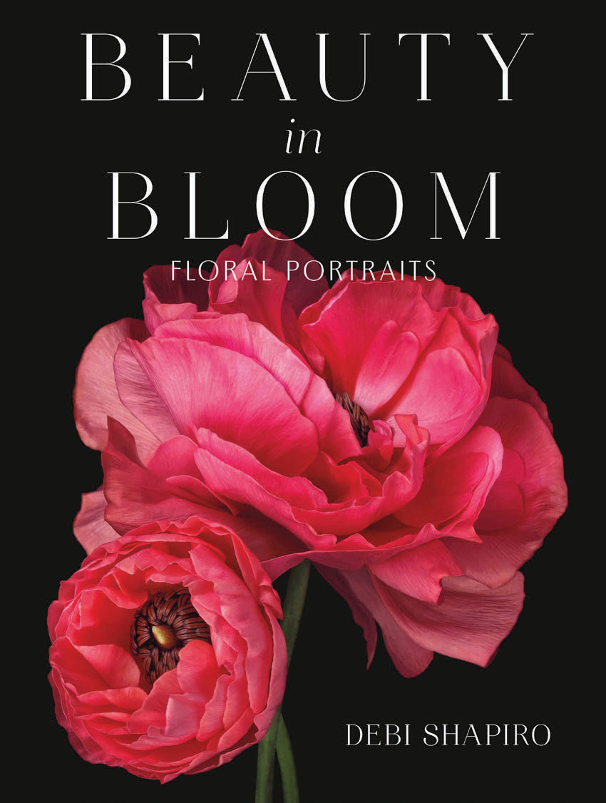 beauty in bloom cover