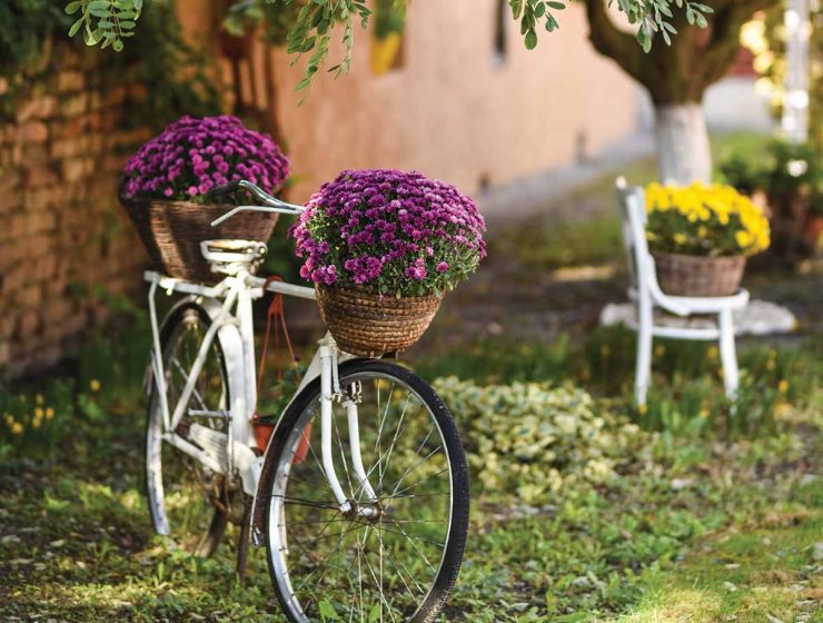bike with flowers