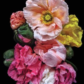 bountiful blossoms
