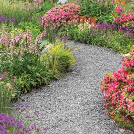 floral lined pathway