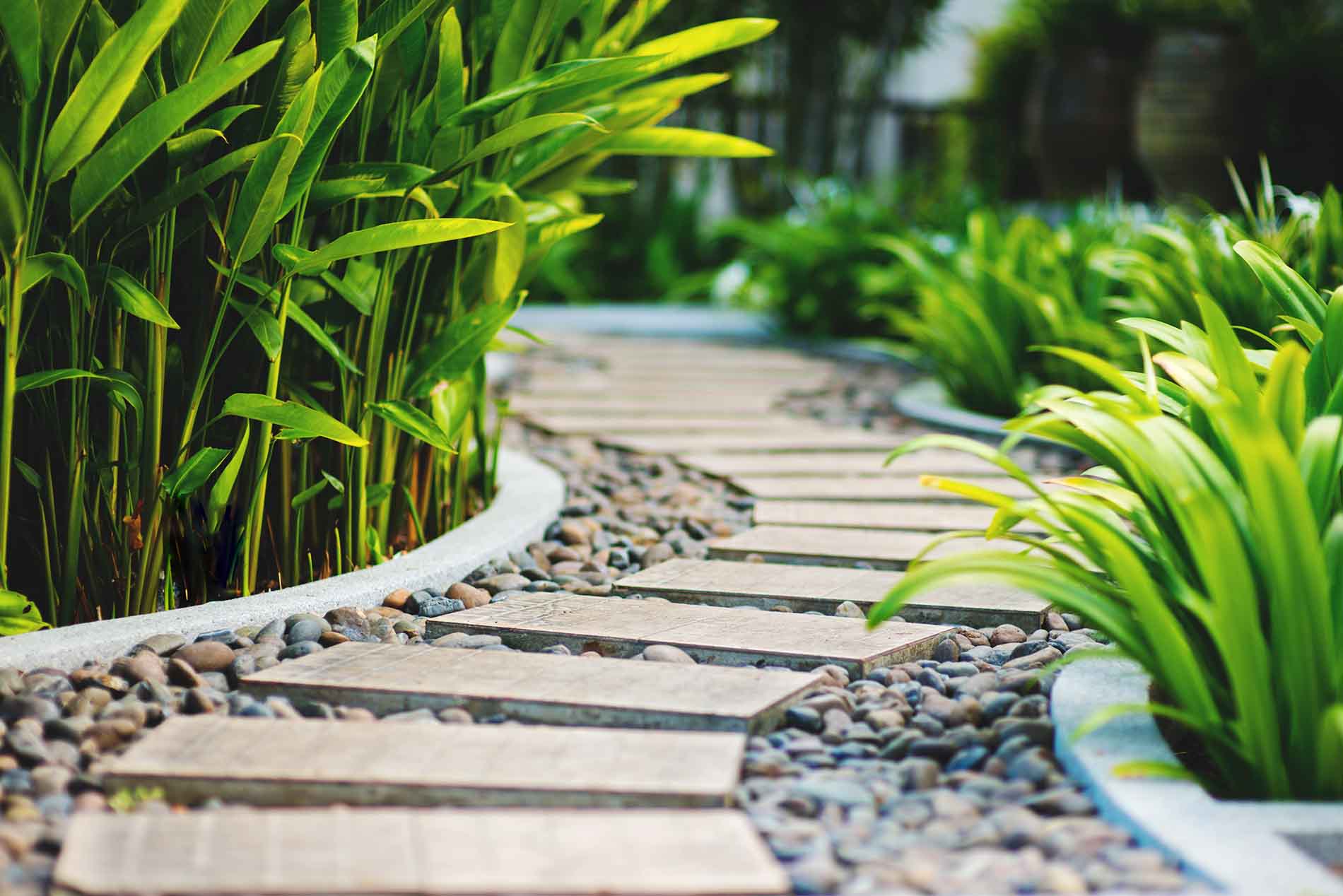 pretty path