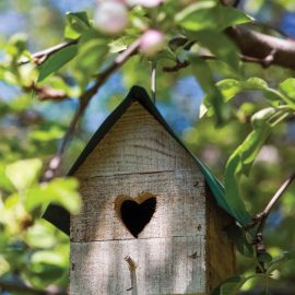 birdhouse
