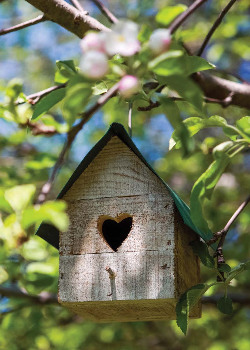 birdhouse