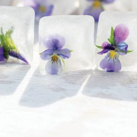 flower ice cubes