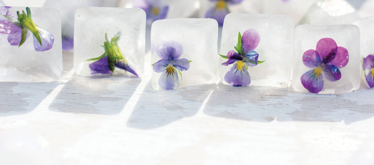 flower ice cubes