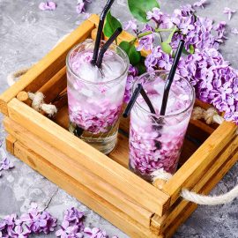 lilac gin fizz cocktail