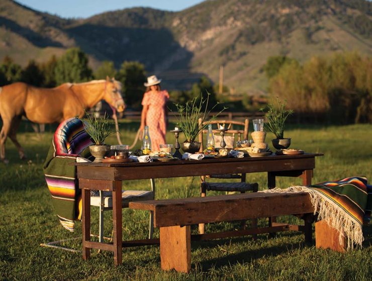 picnic