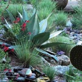 Water Smart Garden
