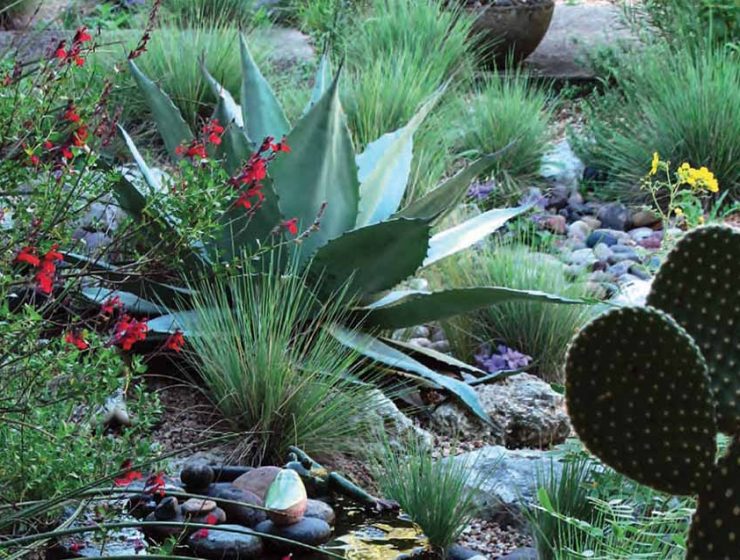 Water Smart Garden