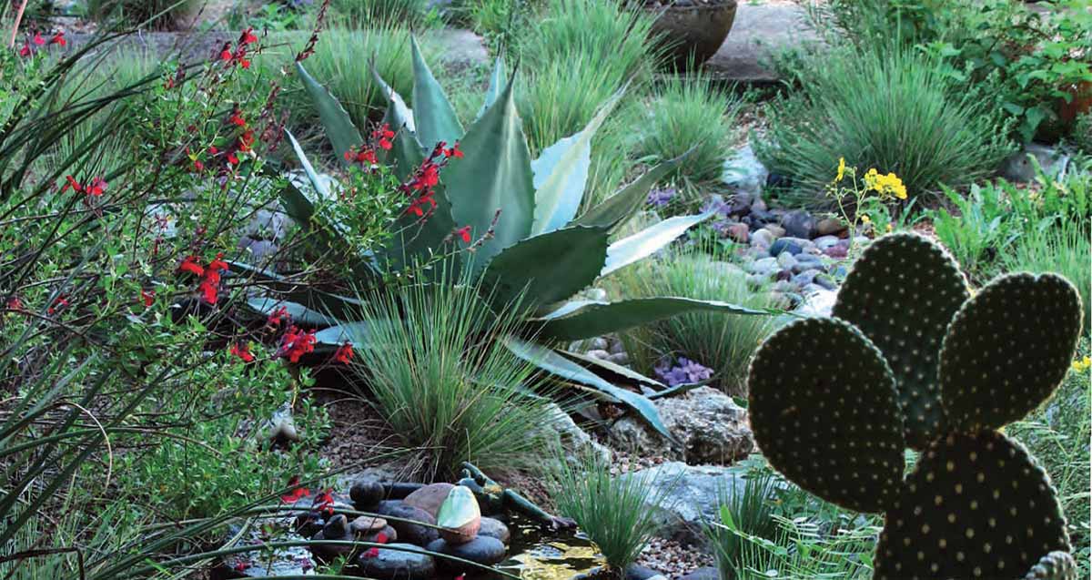 Water Smart Garden