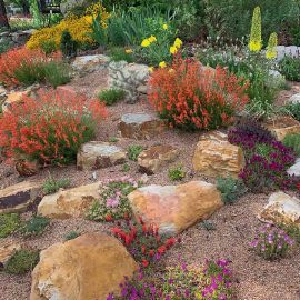 Water Smart landscaping