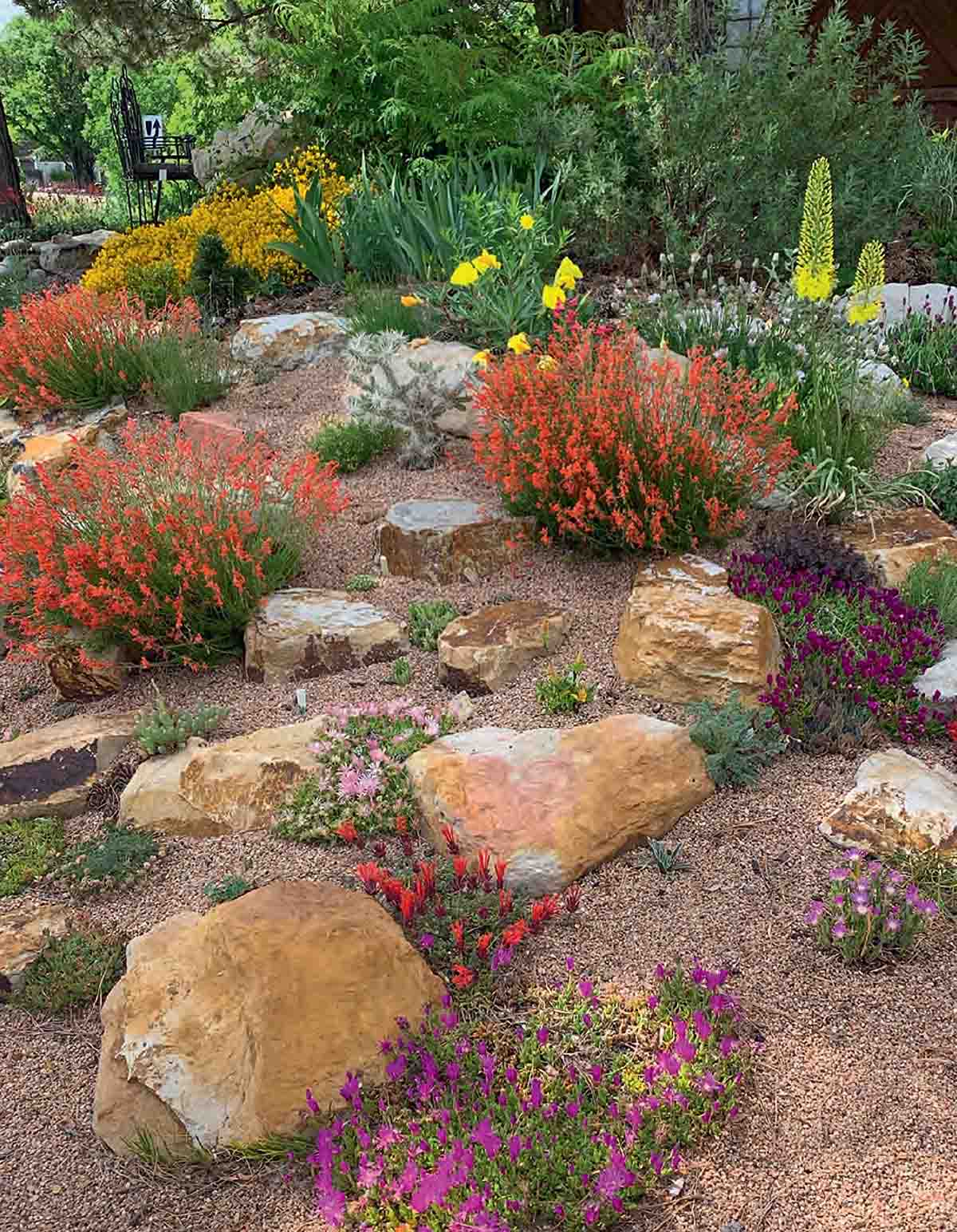 Water Smart landscaping