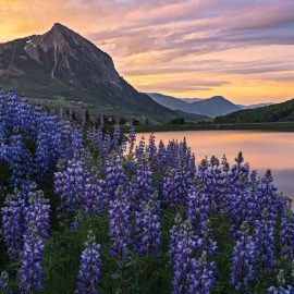 Crested Butte lake view