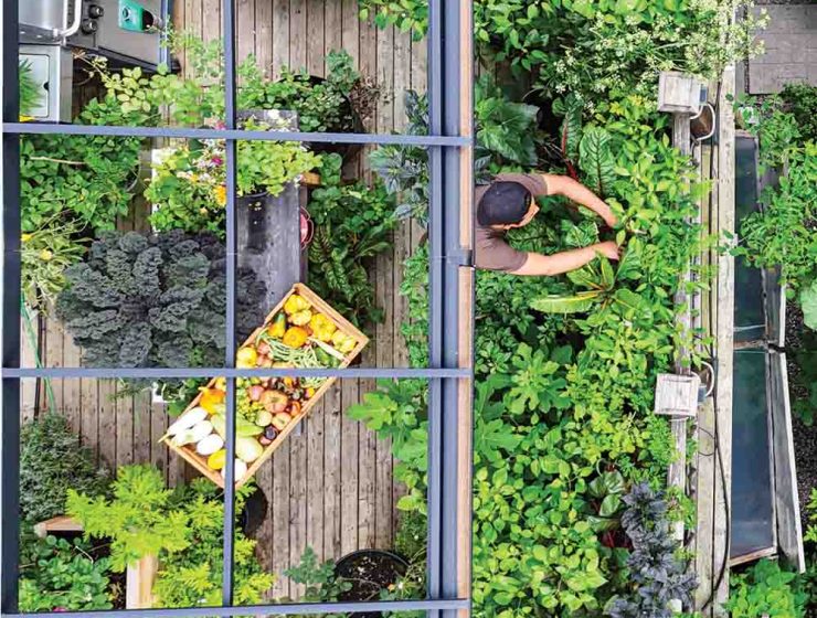 compact garden