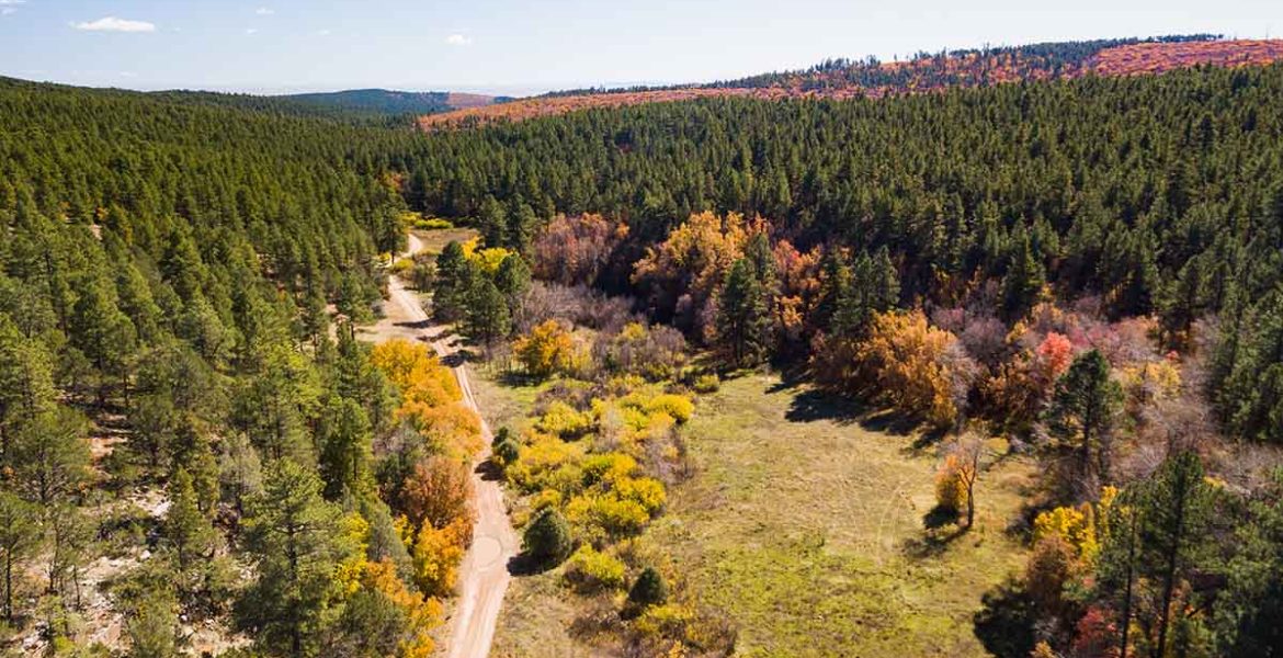 Fall Colors 4th of July Canyon