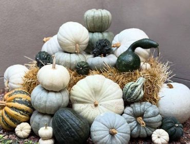 assortment of gourds